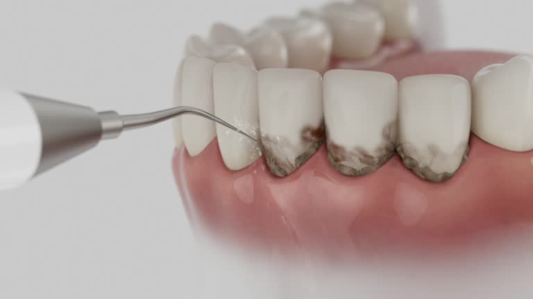 Reliable Dental contractor in Vienna, GA by Dentist Open Now